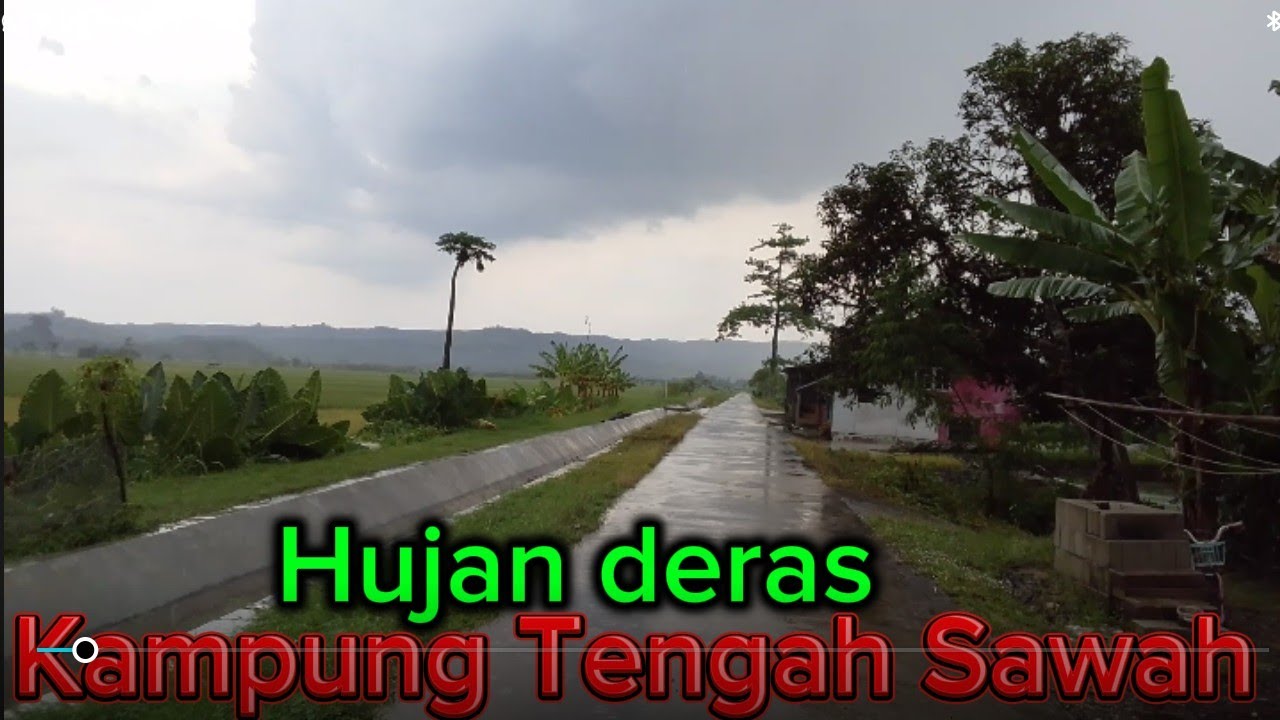 Hujan deras mengguyur   kampung tengah sawah yang  luas tambah sahdu.dan indah. Suasananya