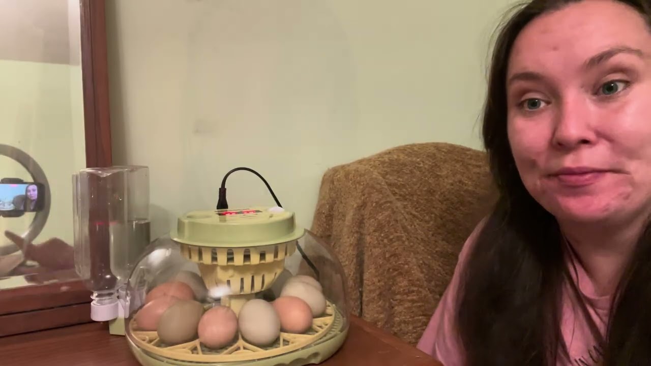 Hatching the FIRST chickens of the season!