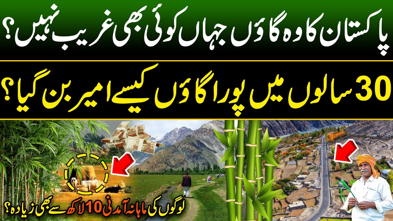 Pakistan's Richest Village | Heavy Bamboo Production in Pakistan | 1 Million Earning Monthly