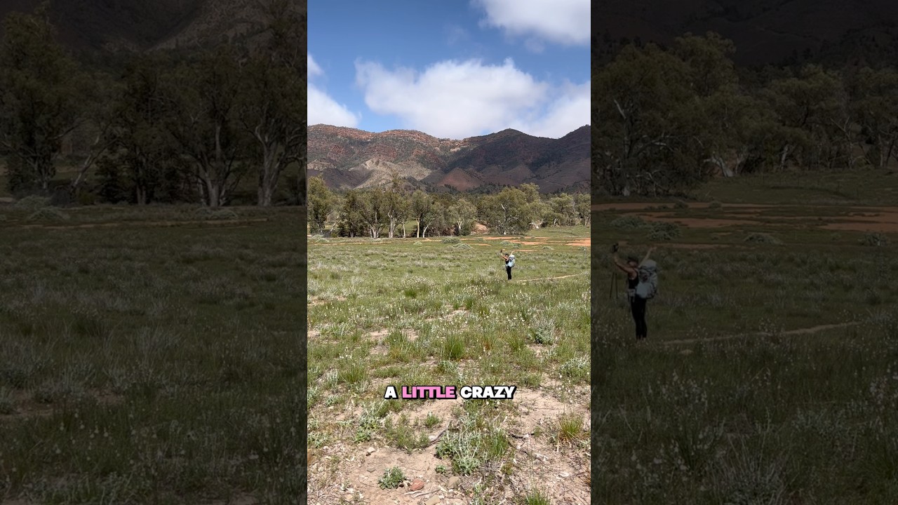 Day 1 on the Heysen Trail, a solo journey hiking Australia&rsquo;s longest marked walking trail (1,200km)