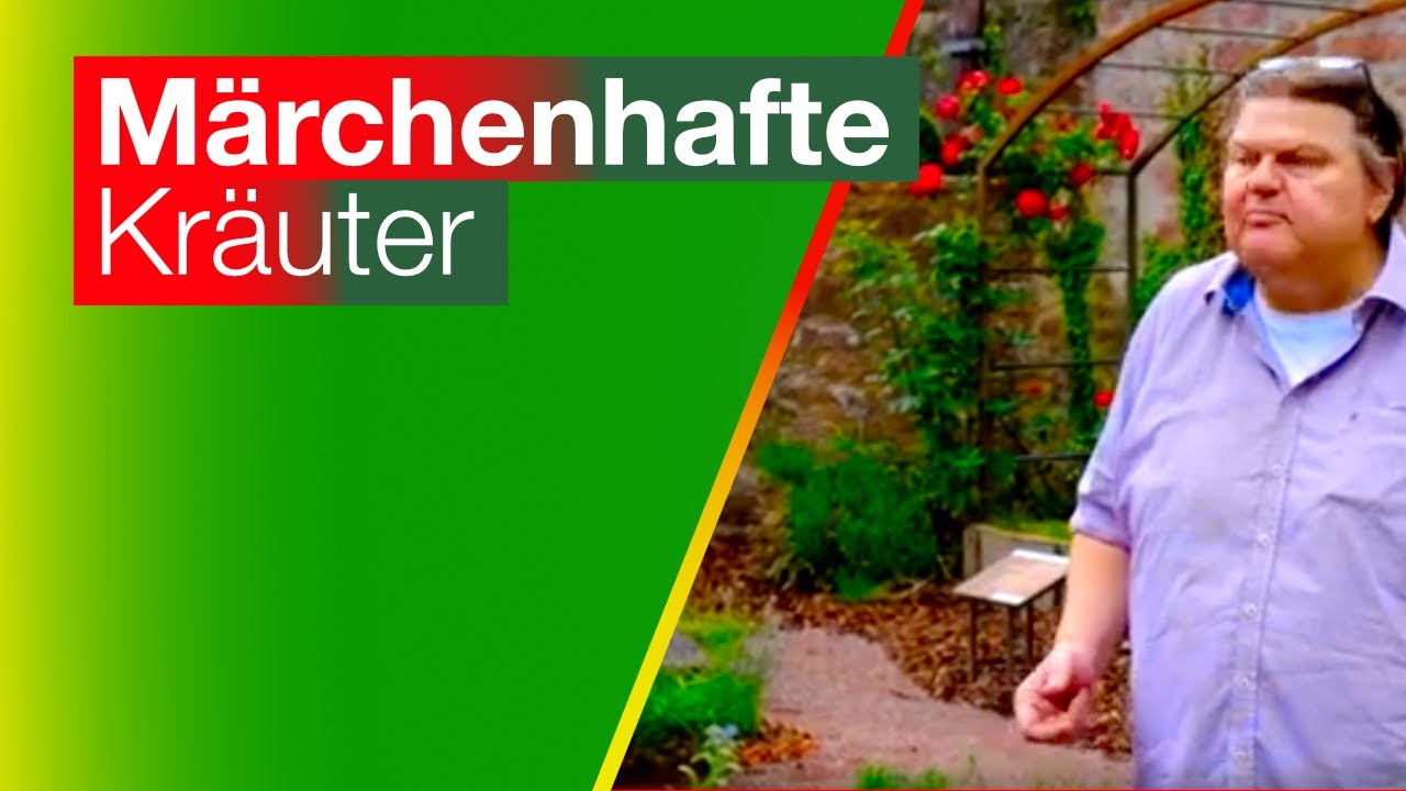 Märchenhafte Kräuter: zu Besuch im Brüder Grimm Haus in Steinau