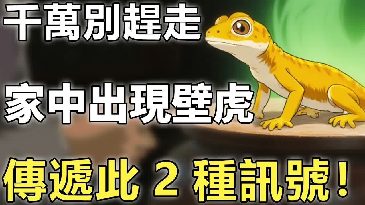 壁虎突然登門有何影響？菩薩揭秘：千萬別趕走!老天在給你傳遞此2種訊號！【輪回｜因果｜佛學】