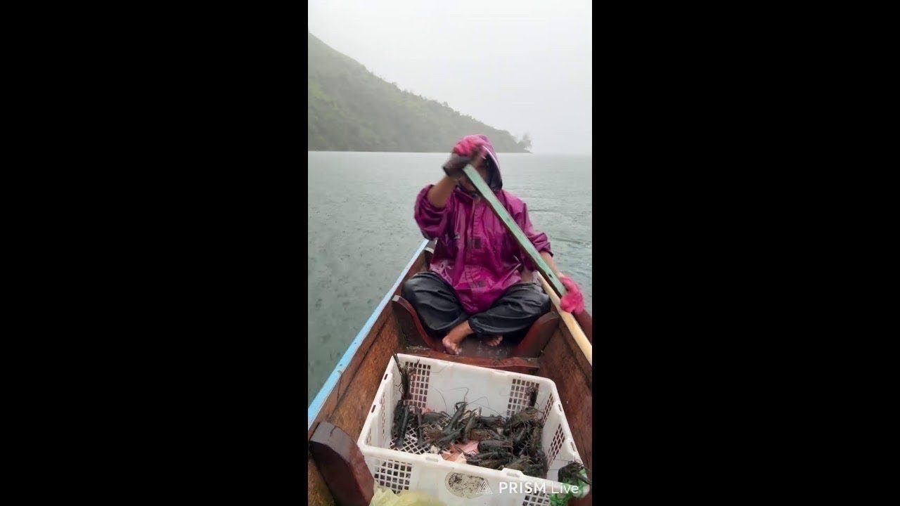 Siaran langsung Boru Manurung Official