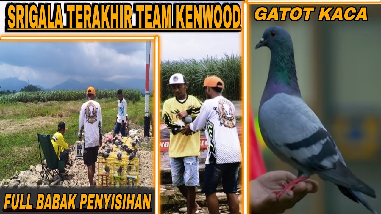 🔴EDISI SPESIAL PENYISIHAN PLAYER PLAYER TEAM KENDWOOD CASPER-DAMAR WULAN -SAPI-DINASTI-GATOT KACA 