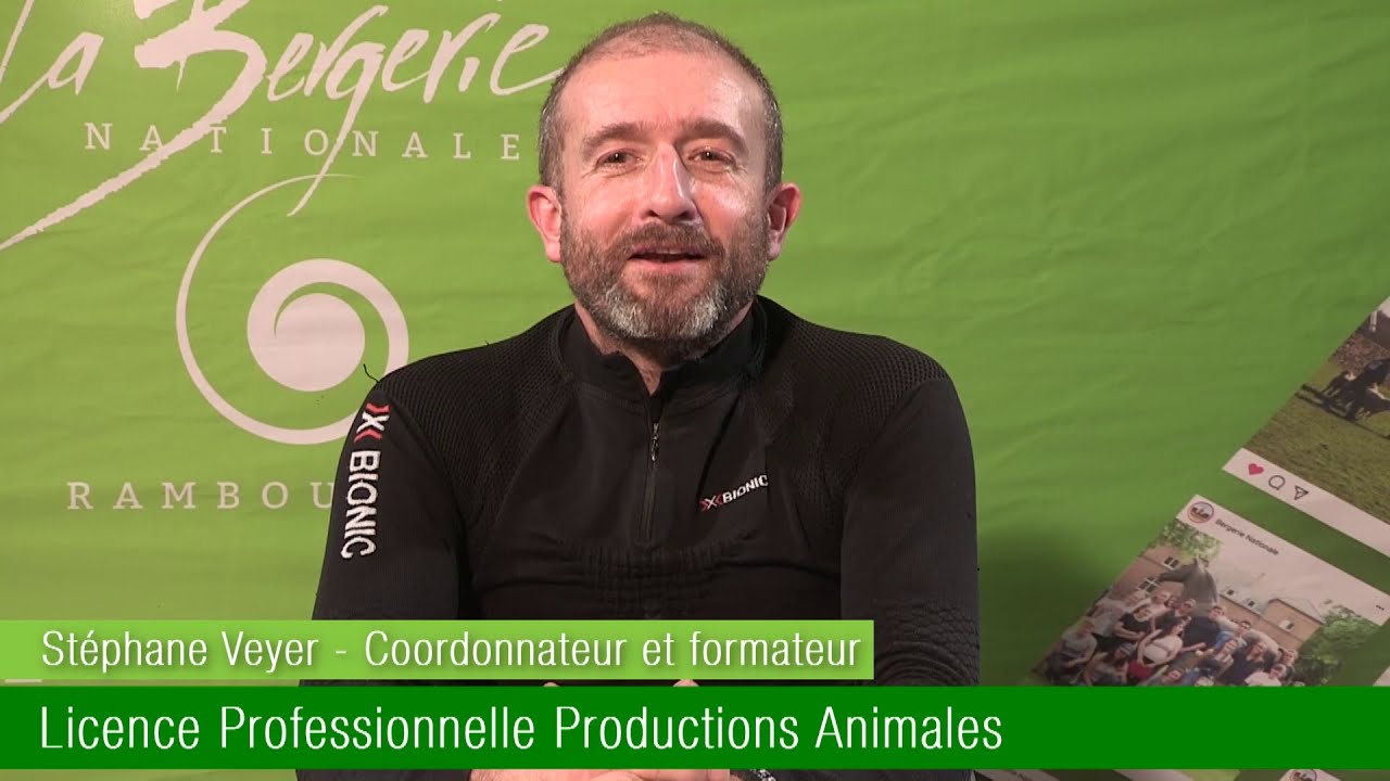 Licence Professionnelle Productions Animales