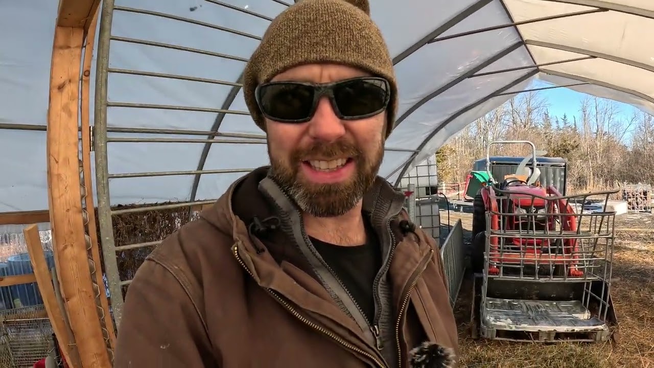 Building a Hay Feeder from an old IBC Cage