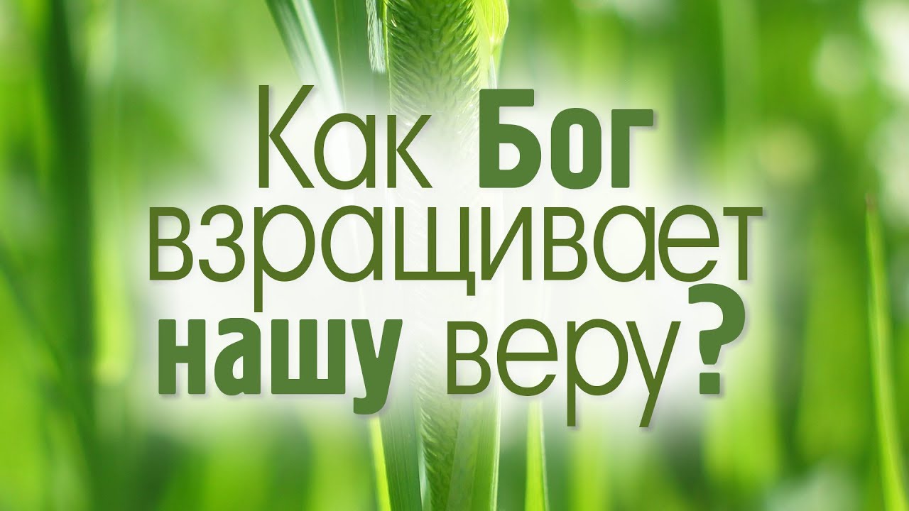 Проповедь: 