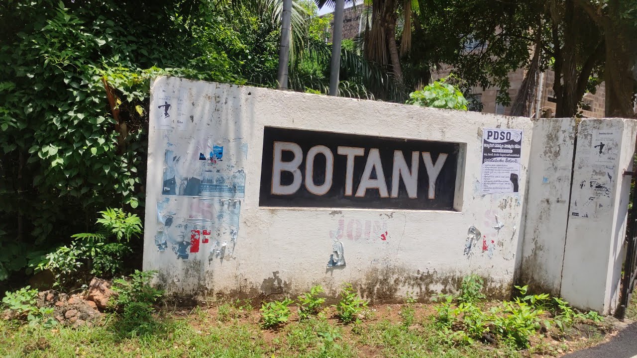 Andhra university vizag... Botany department #andhrauniversity #moreviewers #viral #subscribe 