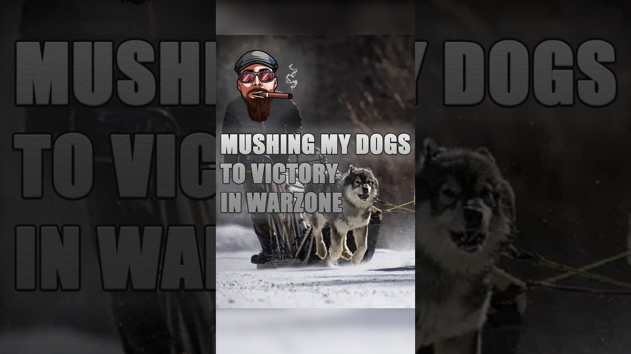 Mushing My Dogs to Victory 🐺 | Warzone Solos Live-vert