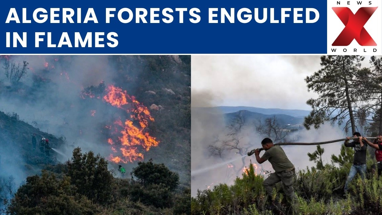 Algeria Forest Fires Rage Uncontrollably as Firefighters Battle Massive Wildfires Through Conditions