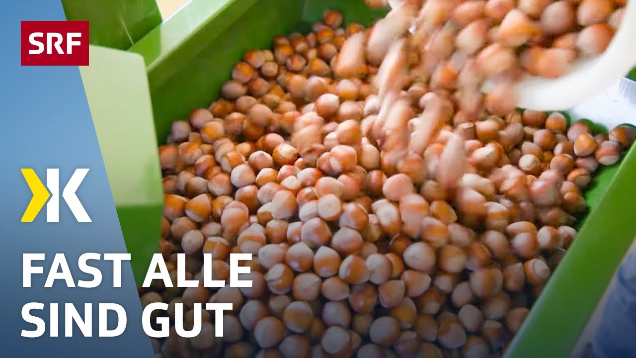 Gemahlene Haseln&uuml;sse im Test: Wenig Keime und Schimmel | 2020 | Kassensturz | SRF