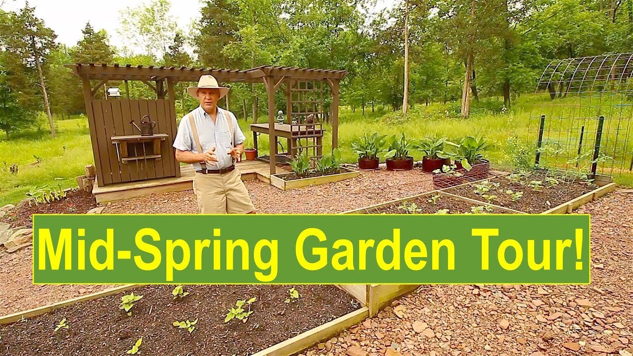 Mid-Spring Garden Tour: Update on Growth and Development of My Harvest of Health!