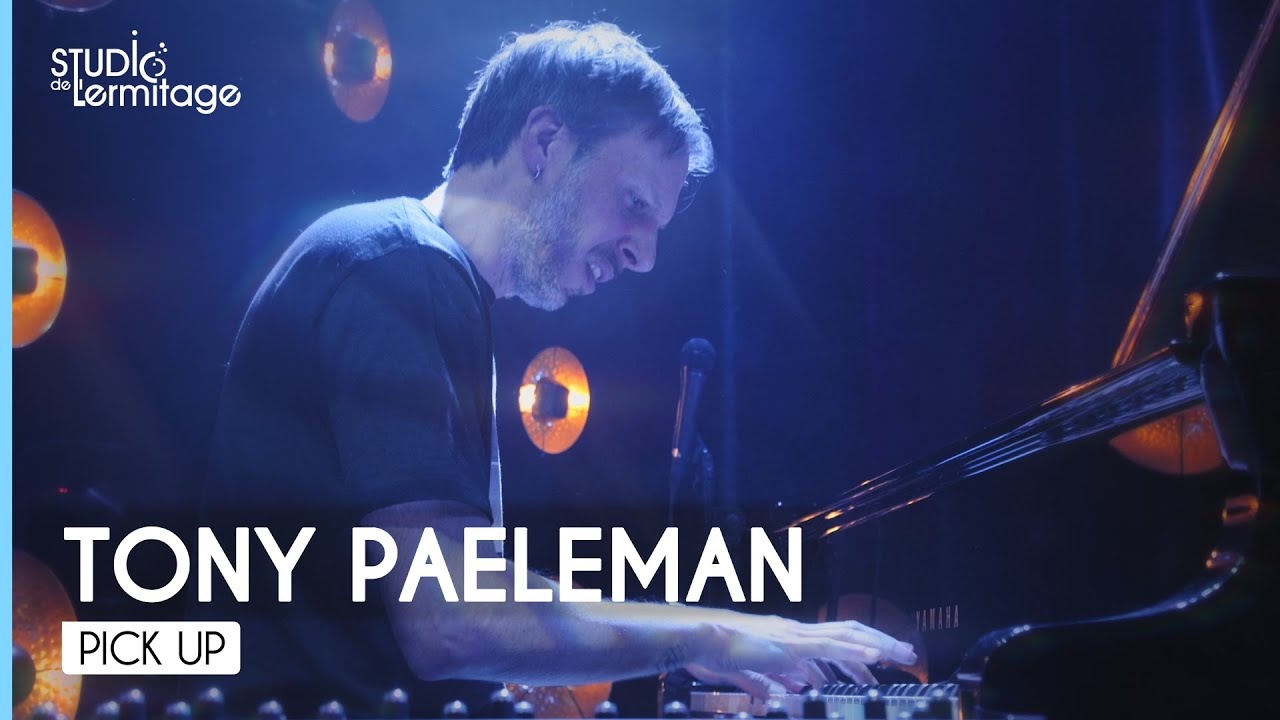 TONY PAELEMAN - Dolphins @studioermitage