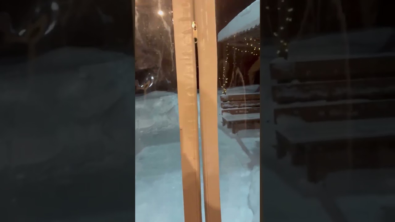 5 февраля 2026 г.