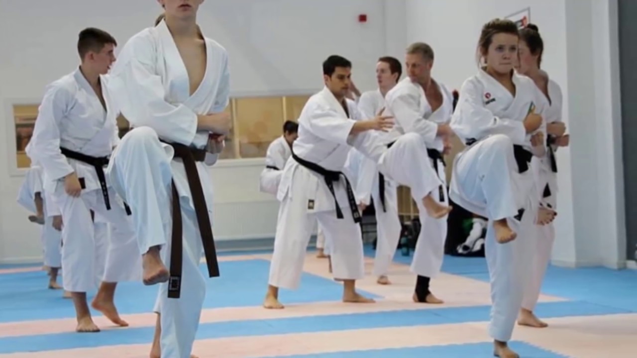 Kaizen Dojo Dublin Ireland - Power in the Blood