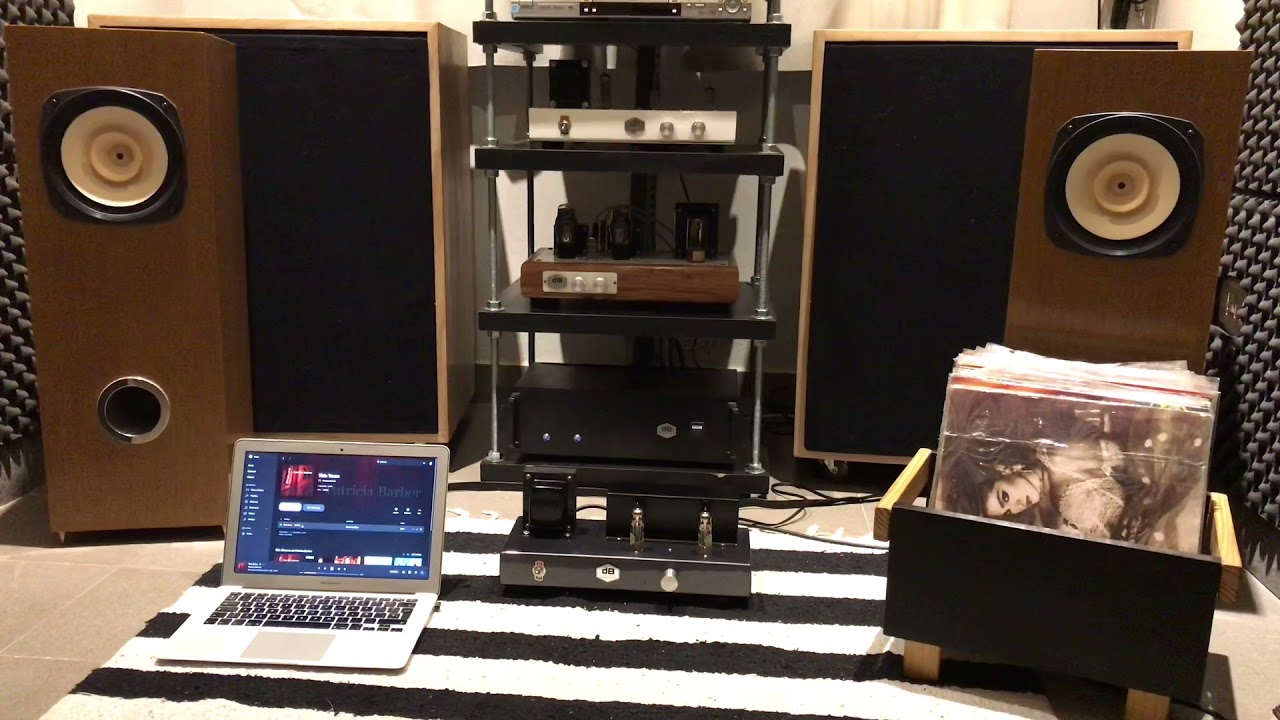 Single ended ECL82 & Fostex 206