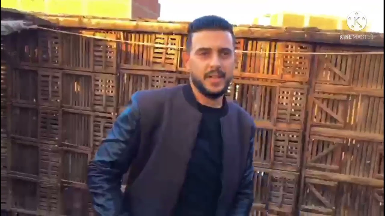 اتفرجو ومتعو عنيكم علي مجال مقاولين العرب من غيه &&سمير ابو رحمه &&مجا👌