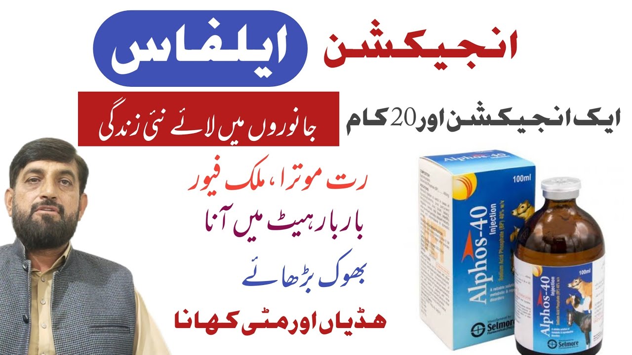 Alphos Injection - Veterinary Uses | Heat problem ,Red Water Less Milk And Paralysis in Cow buffalo