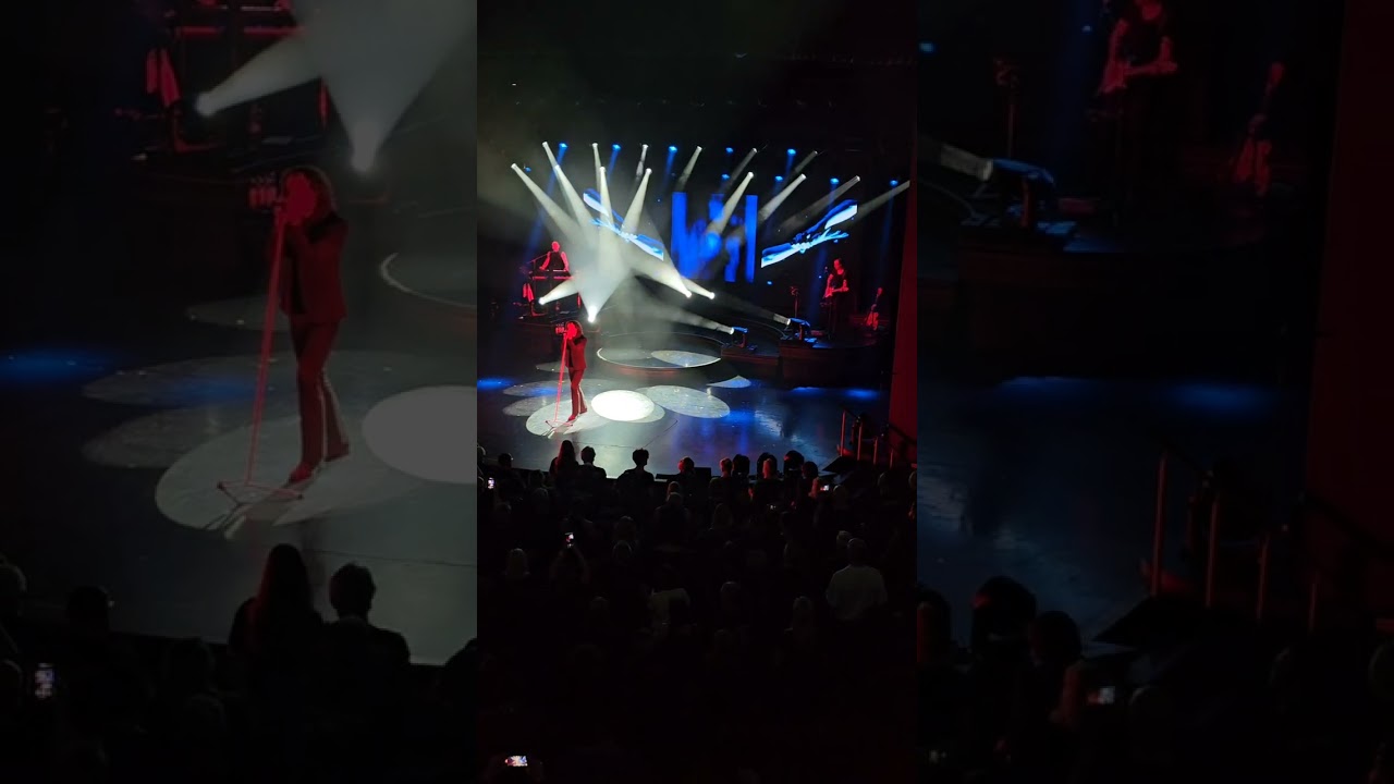 Schallwellen Cruise Forced to Mode a tribute to Depeche Mode 26.Mai 2025