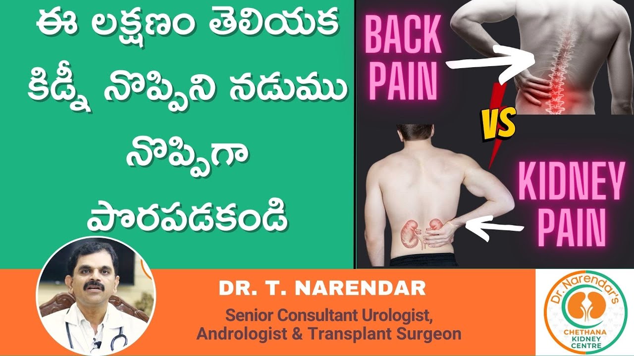కిడ్నీ నొప్పికి, నడుము నొప్పికి తేడా ఇదే || Difference Between Kidney Pain And Back Pain || Chetana
