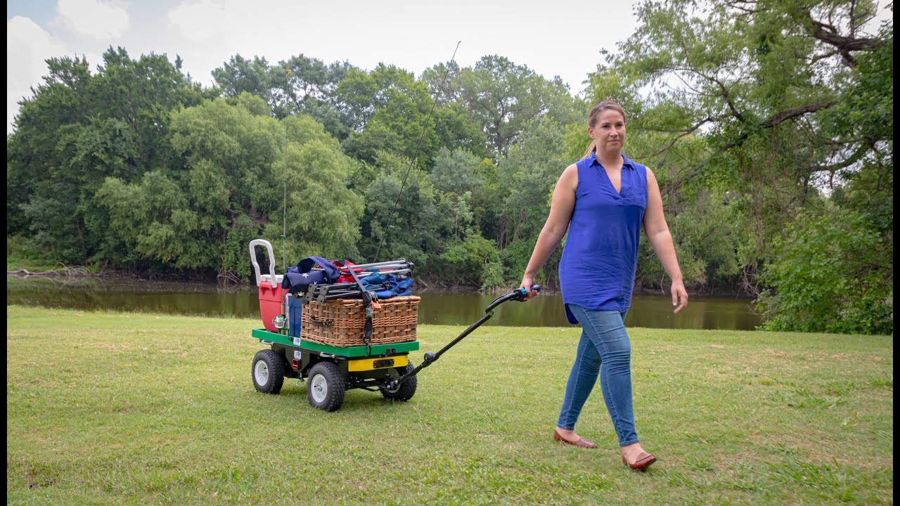 Buffalo Carts: Electric Powered Convenience
