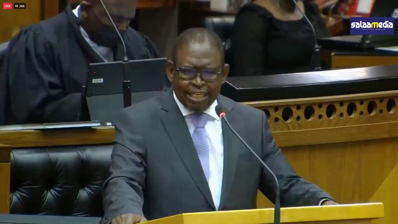 Finance Minister Enoch Godongwana delivers his maiden Medium-Term Budget statement.