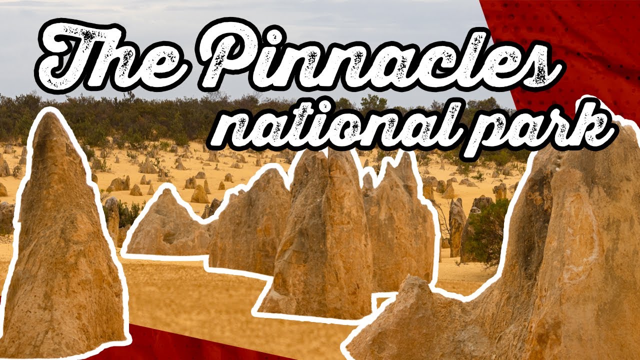 The Pinnacles Desert | Nambung