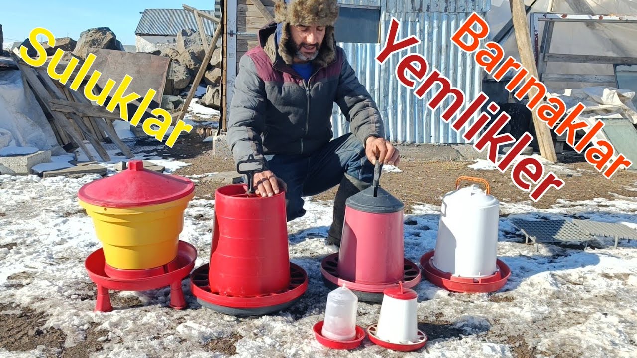 Какими должны быть кормушки, поилки и укрытия при разведении гусей?