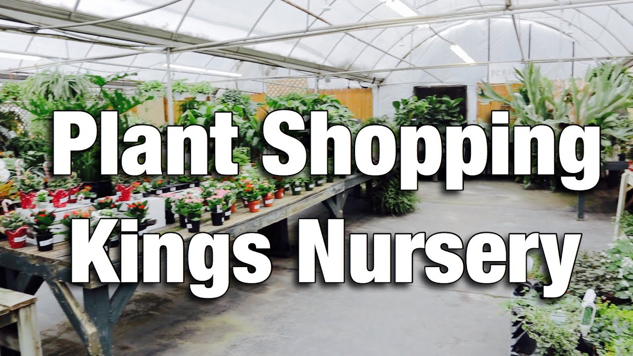 Plant Shopping - Kings Nursery - Charlotte