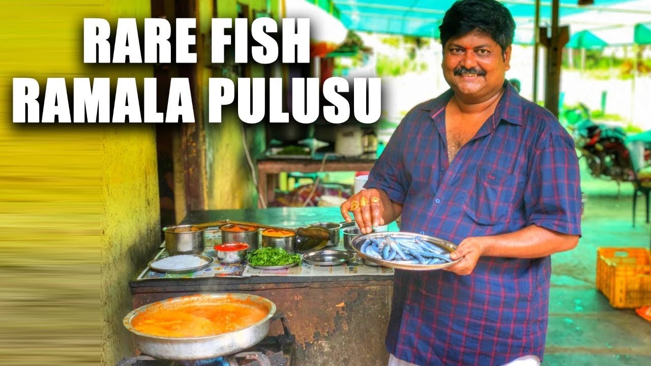 Rare Indian Fish | Ramala Pulusu | Fish Pulusu