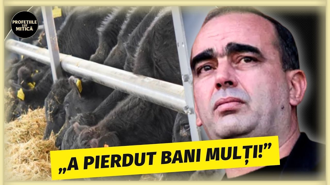 DEZASTRU pentru Gigi Netoiu! SABOTAJ la ferma de ZECI DE MILIOANE DE EURO!?