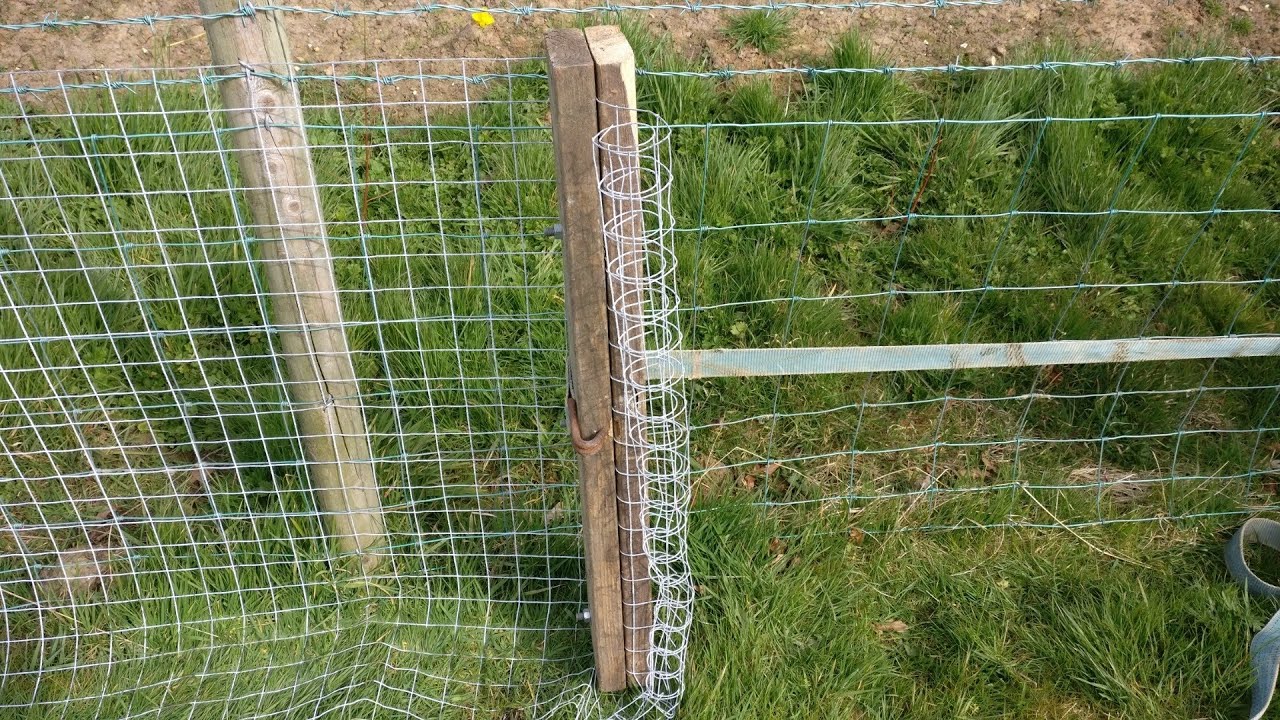 Otter Fencing A Carp Fishery - Ivy Lodge Vlog