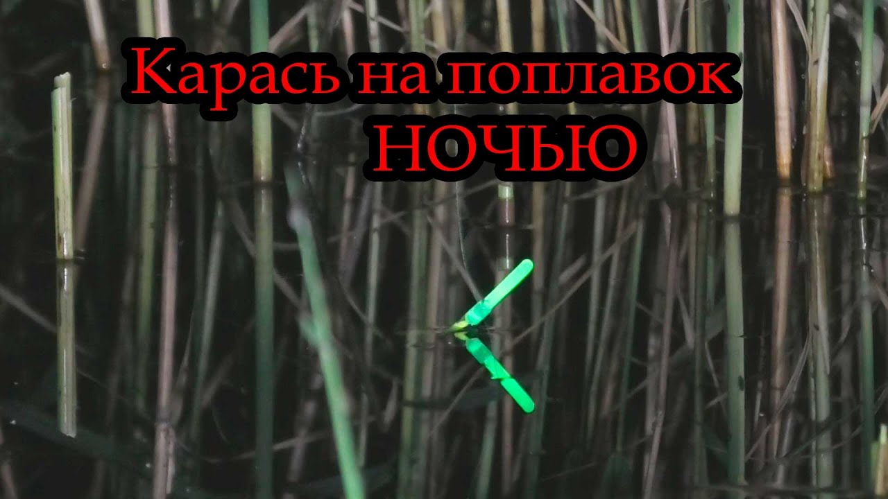 ОДИН в лодке НОЧЬЮ в диких МЕСТАХ ловлю КАРАСЯ на ПОПЛАВОК