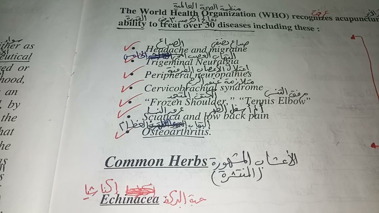 شرح محاضره العلاج بالاعشاب (Herbal treatment)،،ترمنولوجي ،،سنه اولي ثانوي تمريض،باسلوب سهل وبسيط
