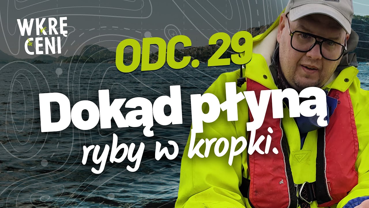 WKRĘCENI | Odcinek 29 | Dokąd płyną ryby w kropki.
