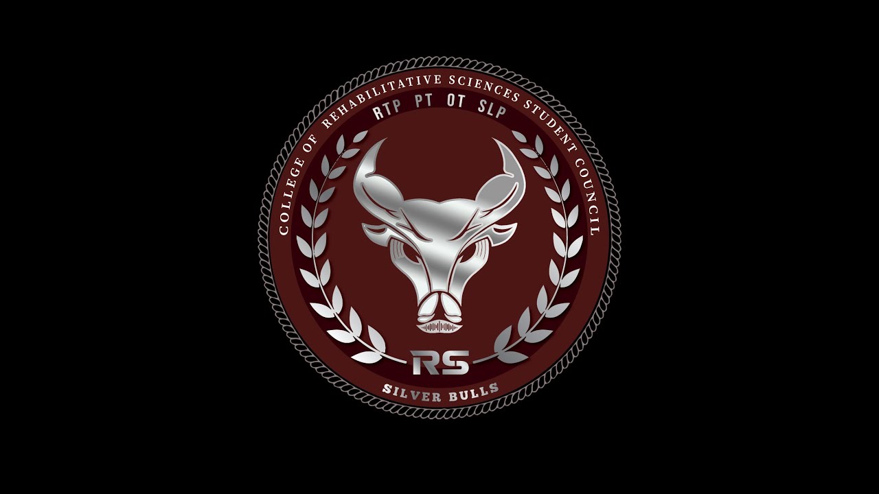 RSTORIES: LENGEND OF THE SILVER BULLS