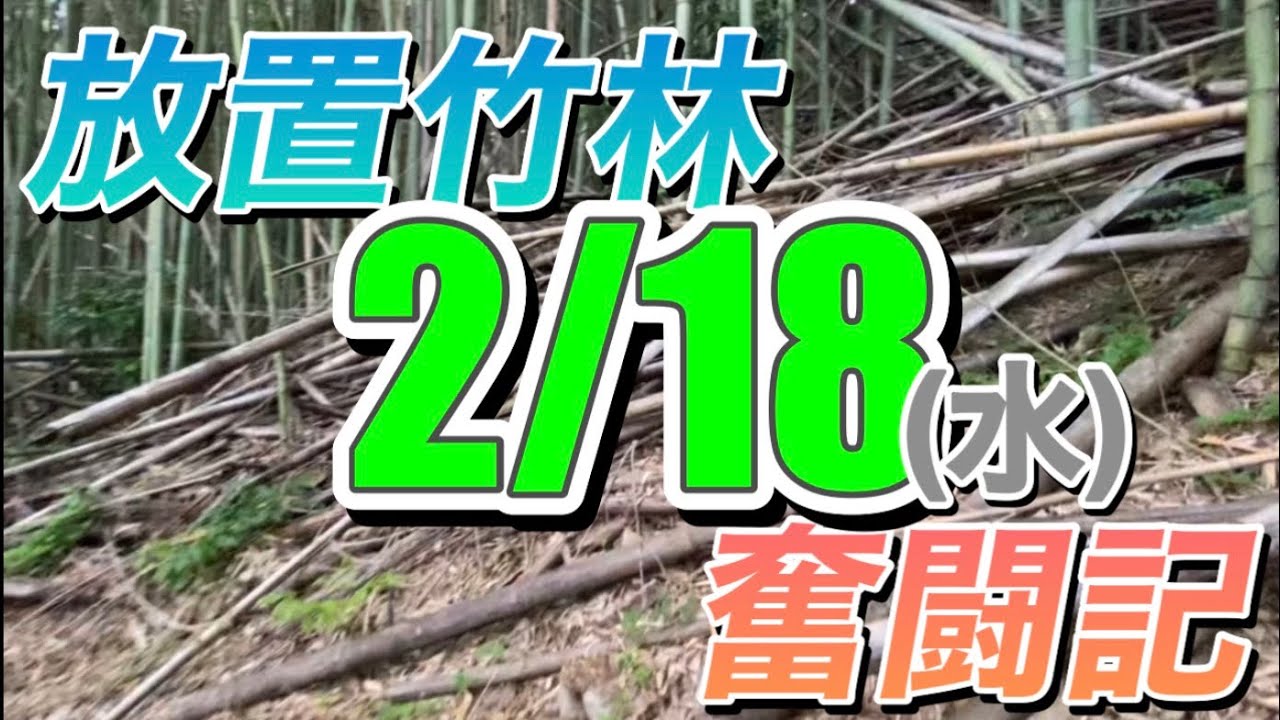 放置竹林奮闘記【早期退職者が竹を切る日々】2026/02/18