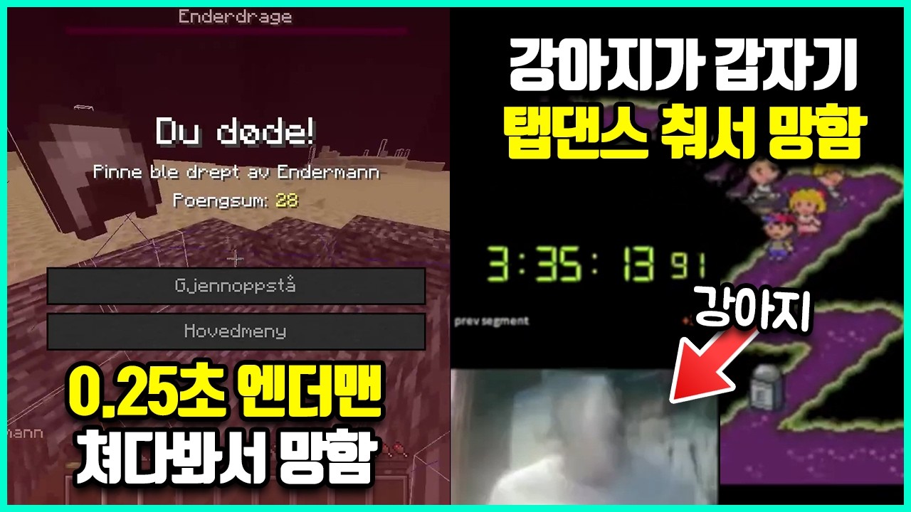 세계1위 직전 억까로 모든 기록을 날려버린 절망의 순간들