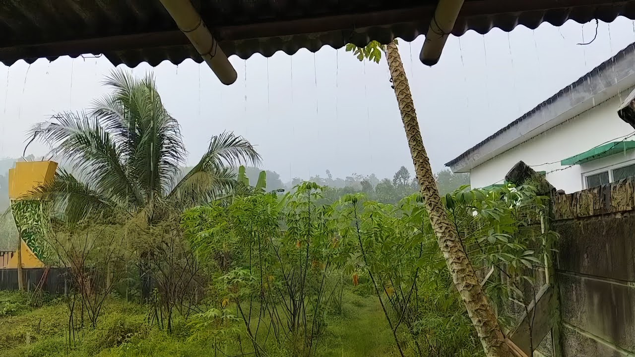 Heavy Rain on Roof at Night 🌧️ Deep Sleep ASMR | Relaxing Rain Sounds for Sleep