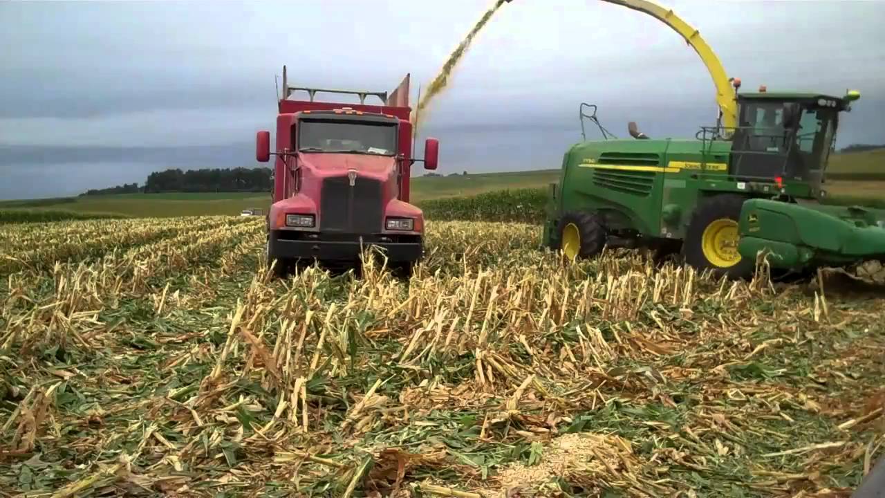 Grinding Earlage with 12-row header, using Kooima Ag earlage adapter