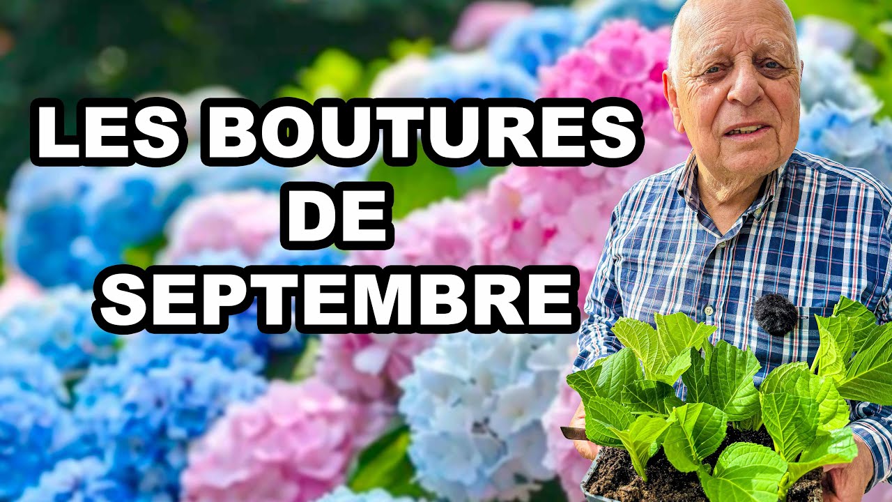 Faites vite ces 5 nouvelles boutures dès MAINTENANT !!🌱