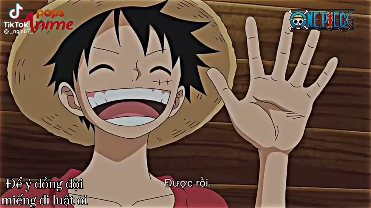 [Đam Mỹ] Tik tok One Piece #31 |Hnay sn toi nè cả nhà