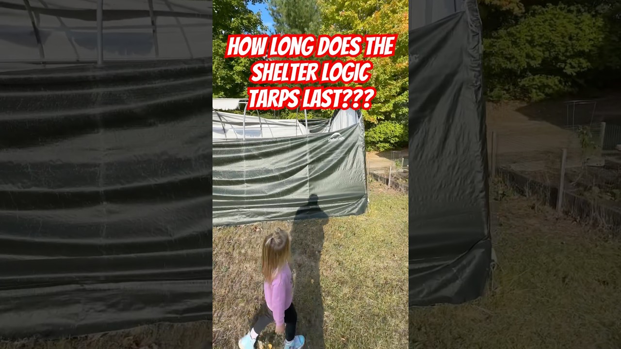 Навес для автомобиля Shelter Logic 12x20, как он выдержал испытание временем? #хранение #сделайса...