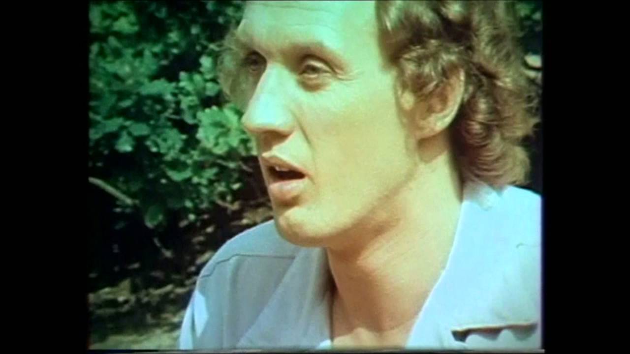 Herman van Veen - Opzij (1979)