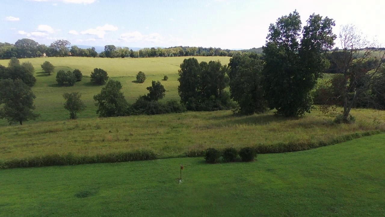 Greenback Tennessee
