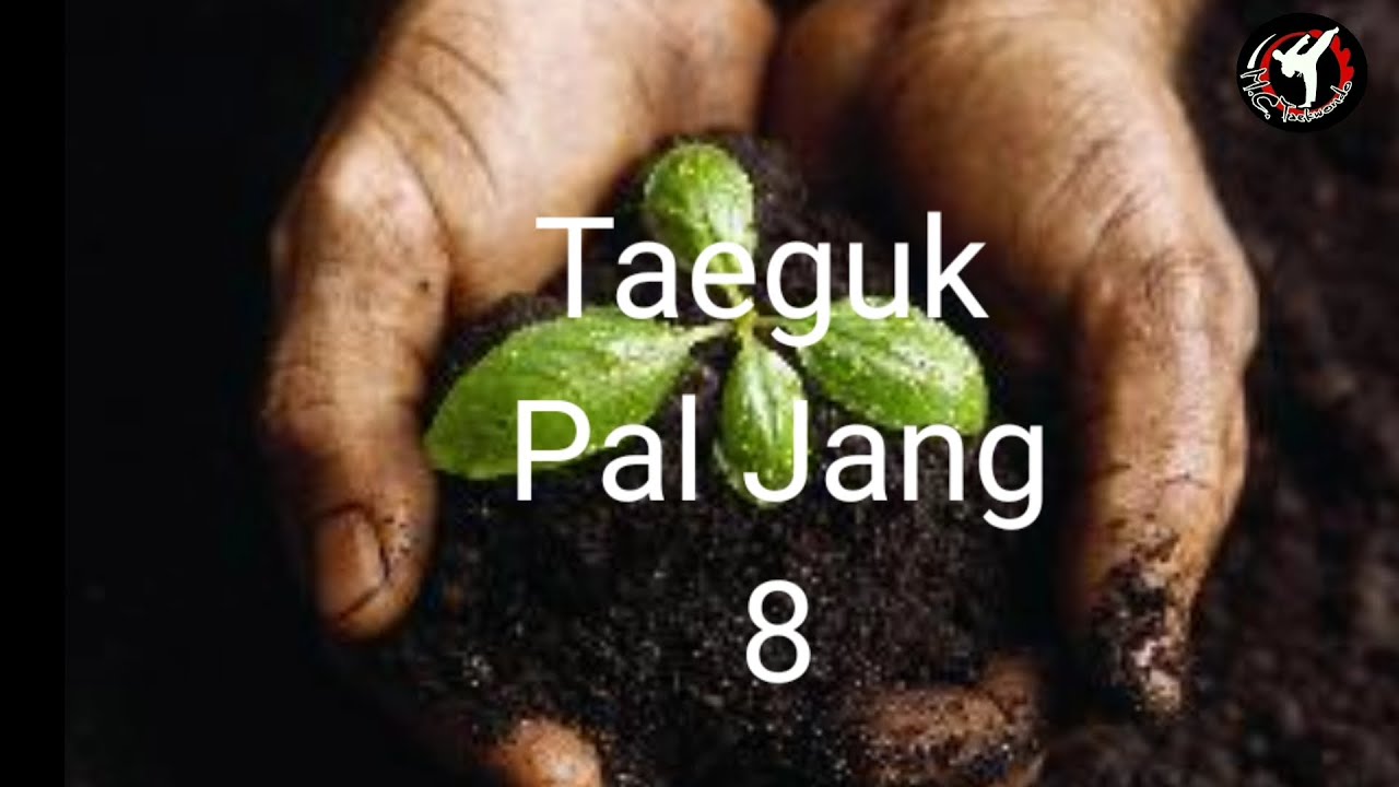 Taeguk 8, Pal Jang. TAEKWONDO.
