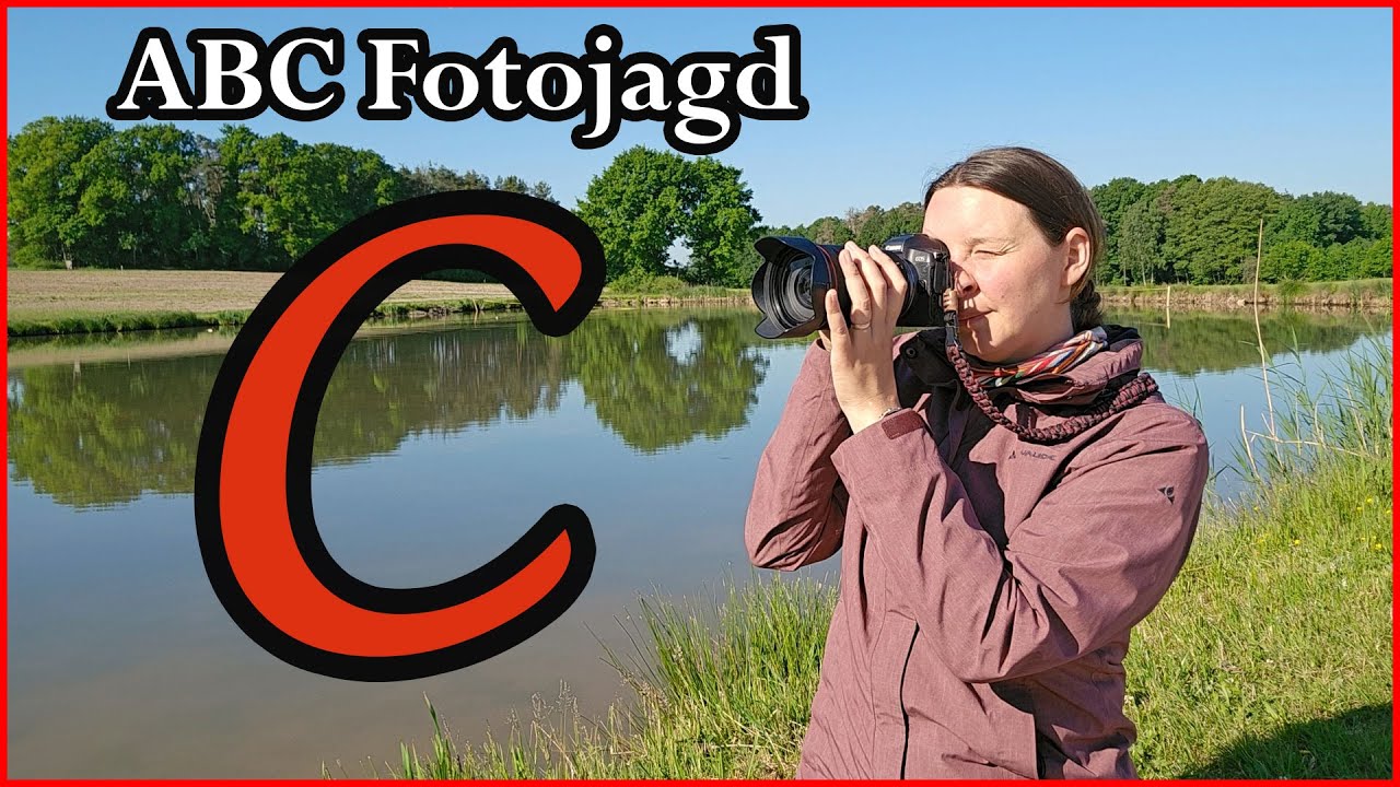 ABC Fotojagd #3 | C wie...? Ceiba pentandra
