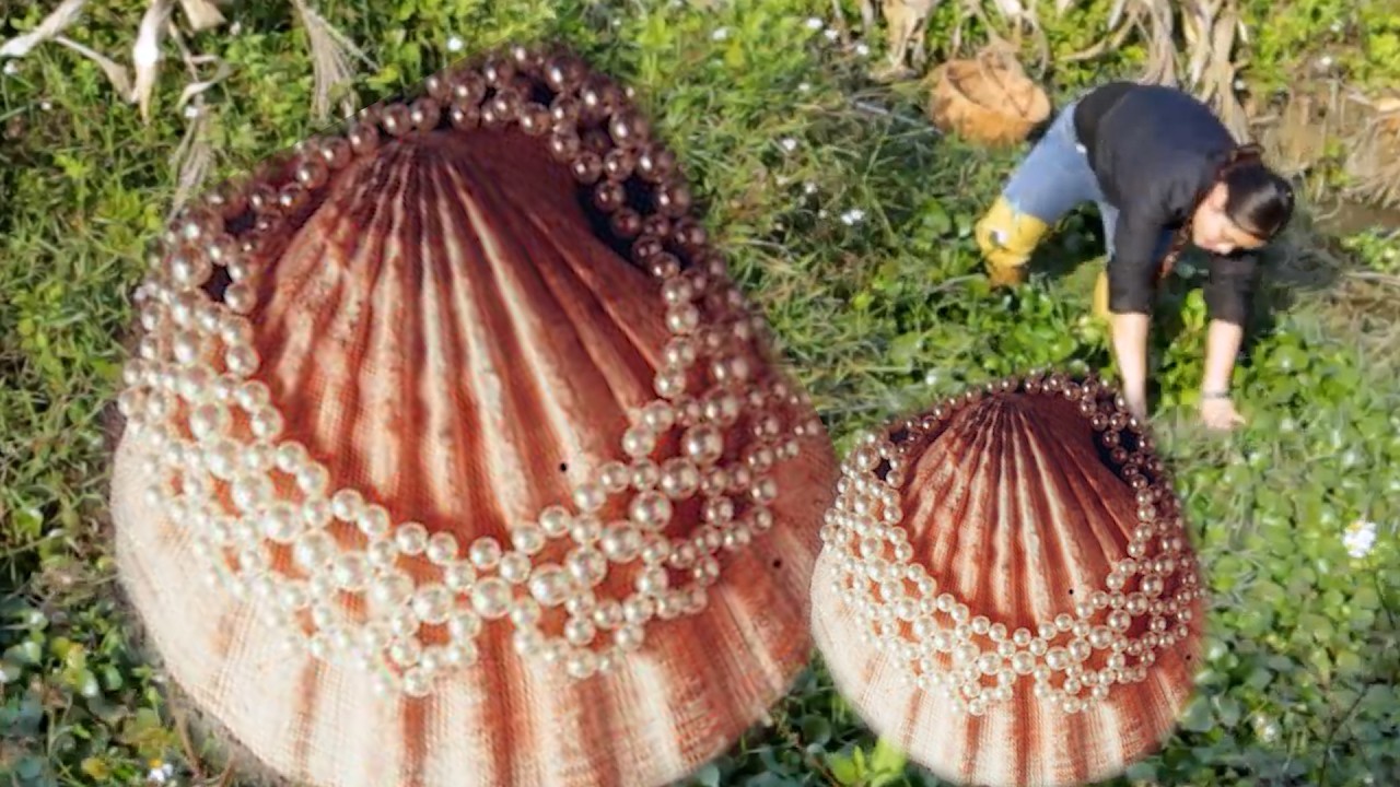 Girl wins big prize with mutated mussels, wilderness excavation brings wealth to girl