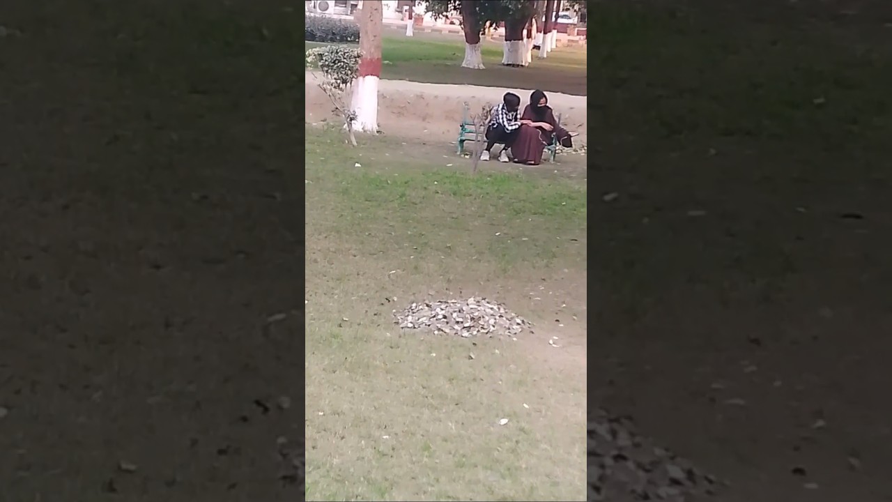 Mara dost kala kha gay 🤭🤷||
