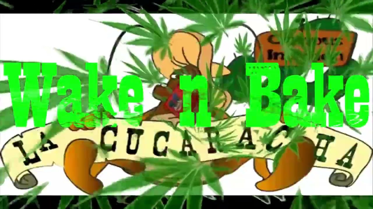 wake AND bake
